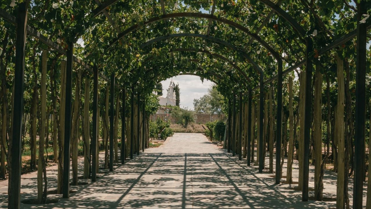 Visite Et Dégustation De Vins Au Domaine Viticole Casa Vigil foto 3