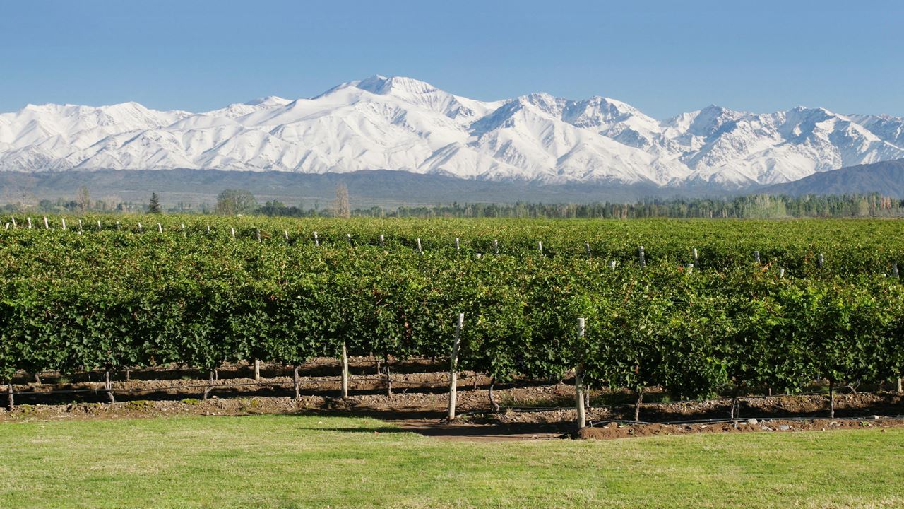 Mendoza Deluxe Reisepaket foto 9