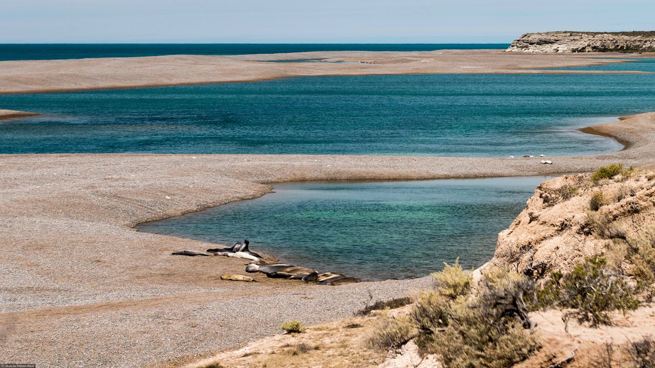 Puerto Madryn Klassisches Paket foto 3