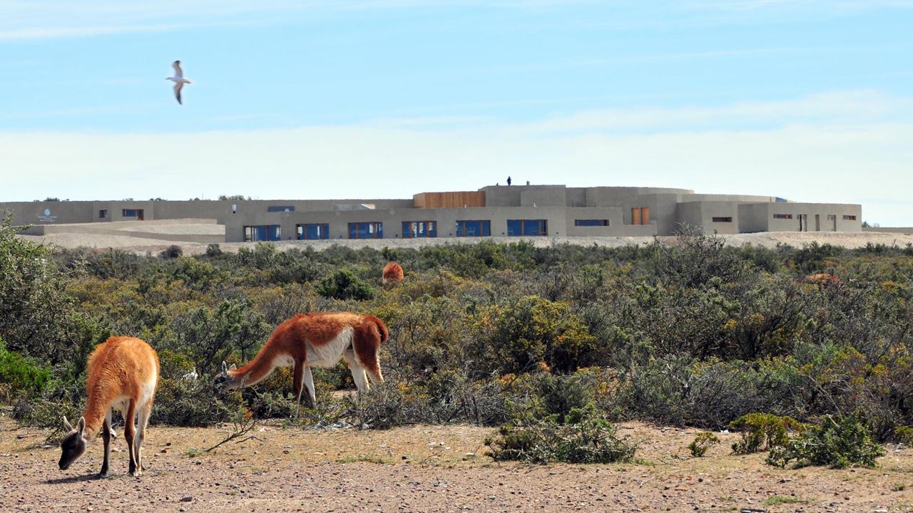 Puerto Madryn Klassisches Paket foto 4