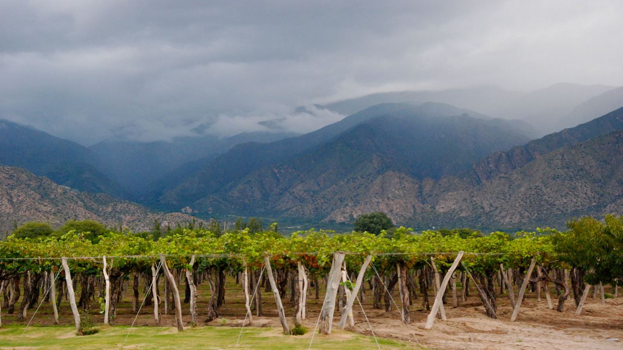 Touristisches Paket Nach Salta Und Jujuy Klassisch foto 4