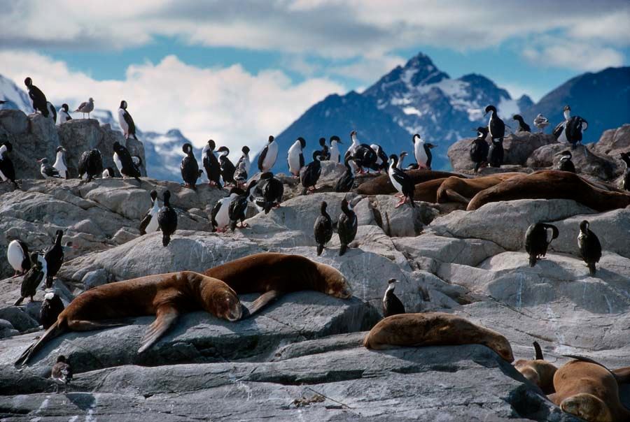 Reisepaket El Calafate & Ushuaia foto 6