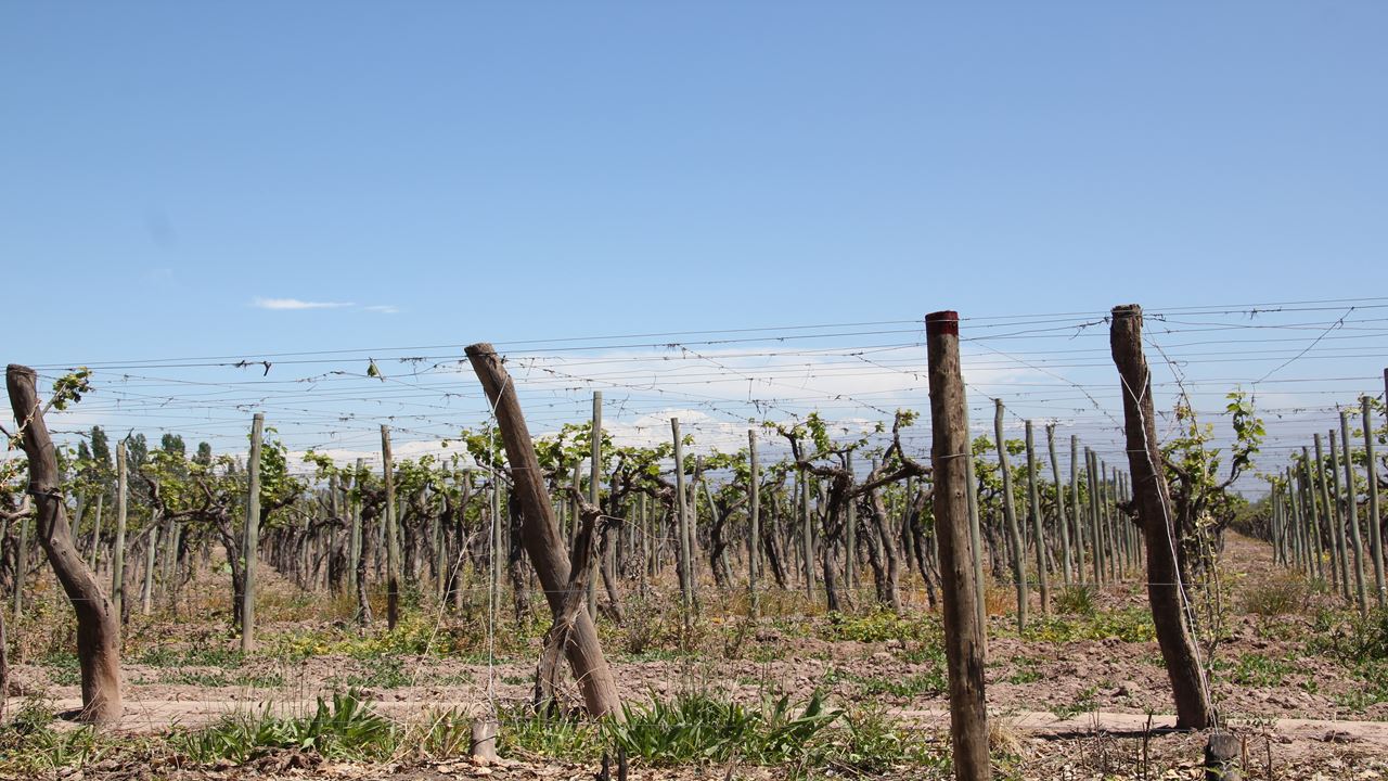 Luxusreise Buenos Aires Und Mendoza foto 4