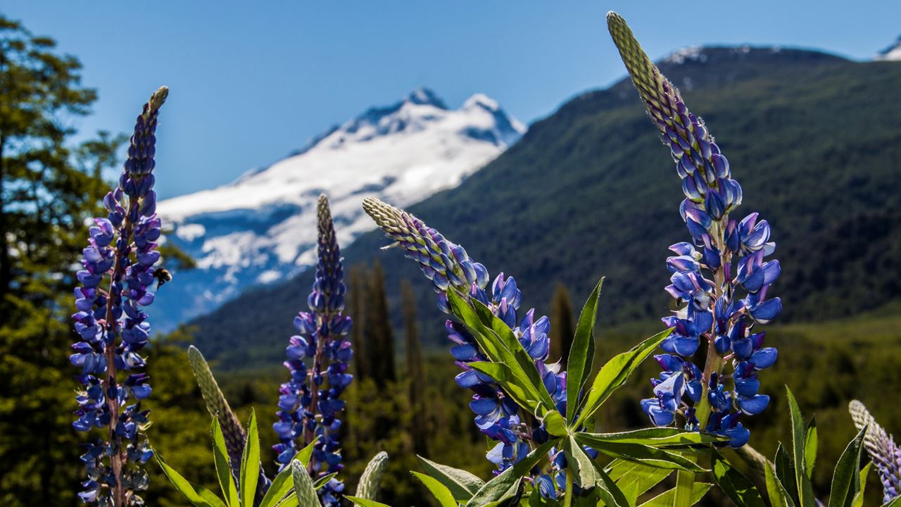 Klassisches Bariloche-paket foto 2