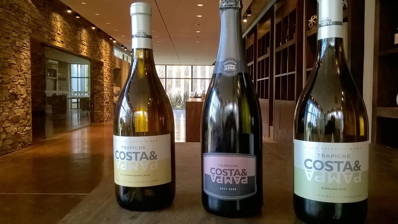 Visit And Tasting At Trapiche Winery foto 3