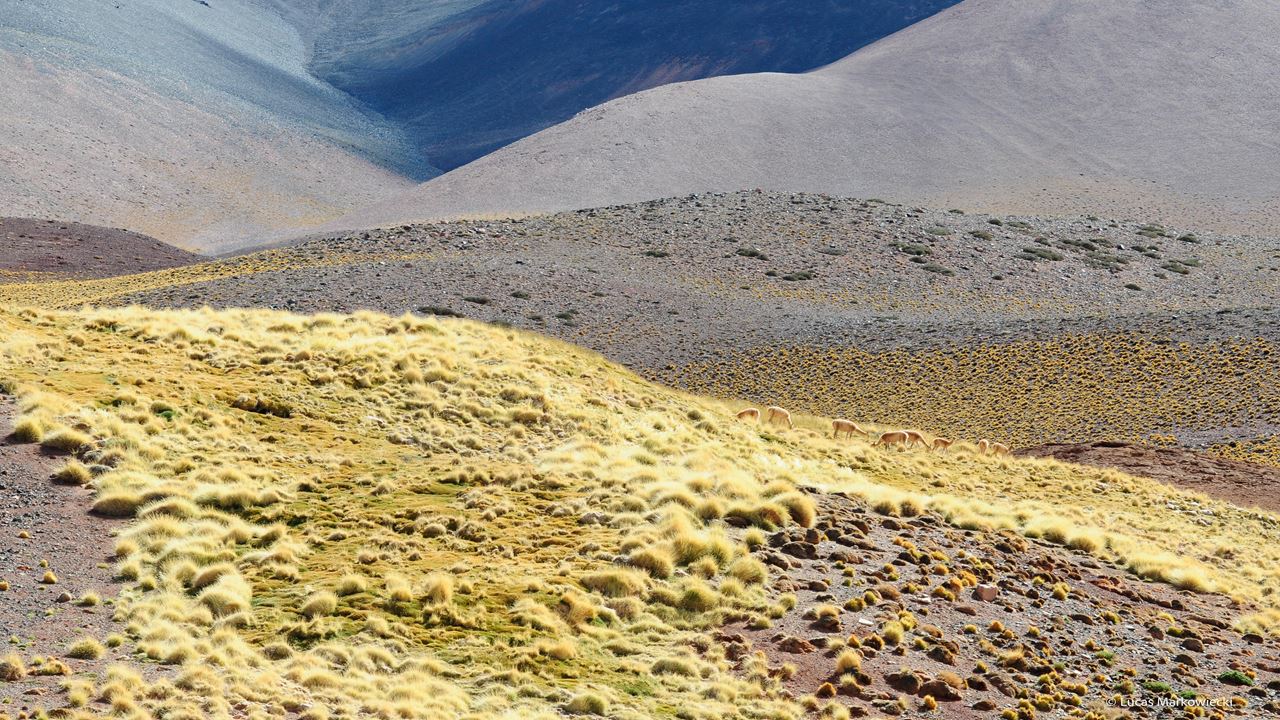 Tour 4x4 À Laguna Brava foto 9
