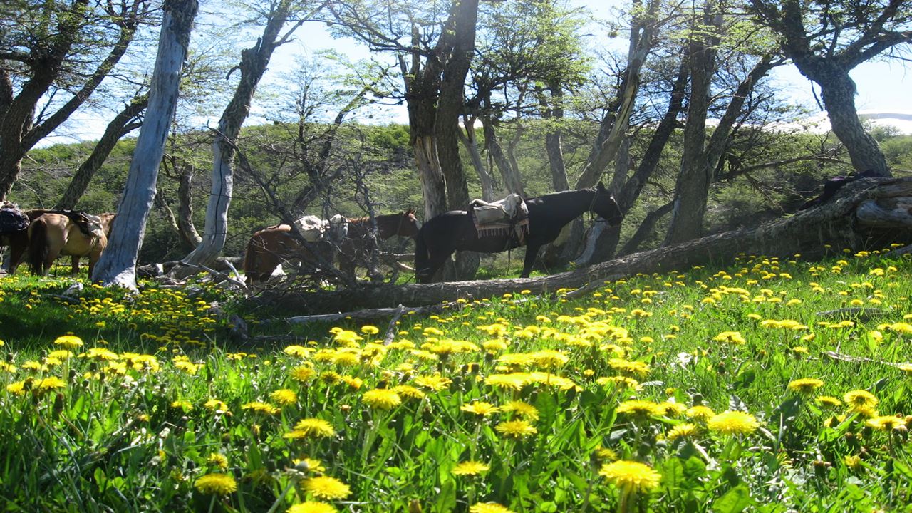Balade À Cheval Au Bord Du Lac Roca foto 1