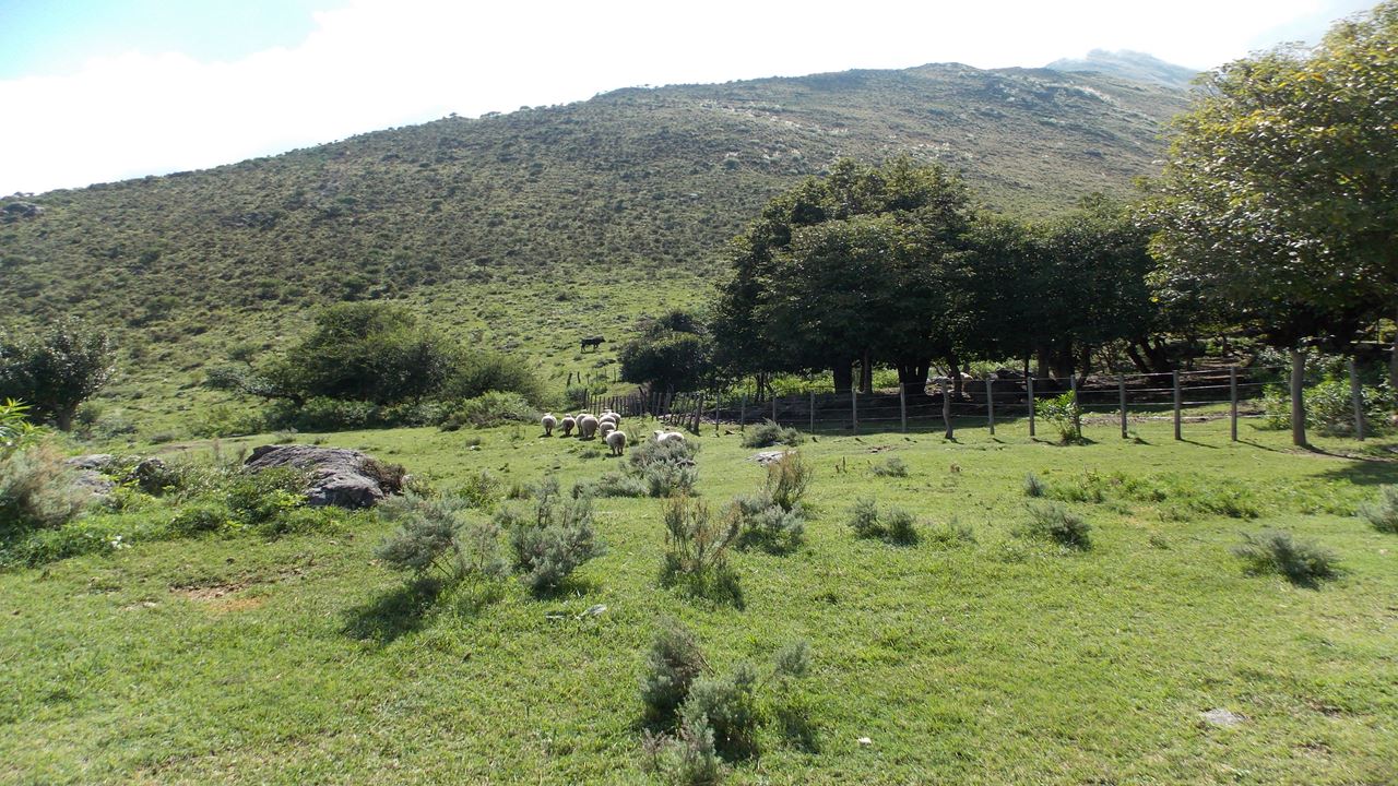Rural Tourism Ferreyra Post foto 6