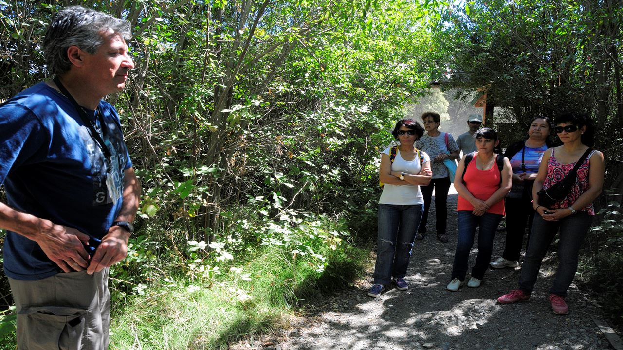Paseo En Catamarán Lago Menéndez foto 9