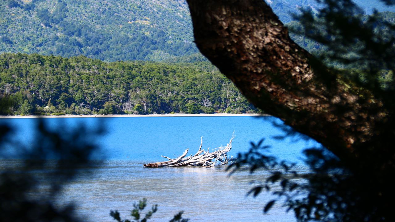 Paseo En Catamarán Lago Menéndez foto 2