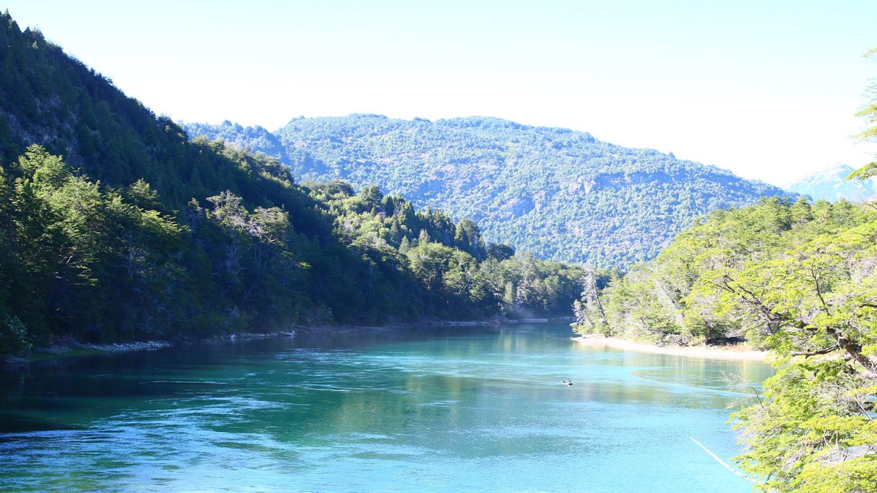 Paseo En Catamarán Lago Menéndez foto 4