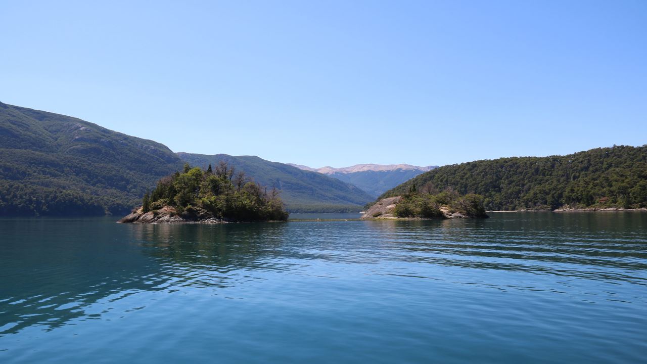 Paseo En Catamarán Lago Menéndez foto 5