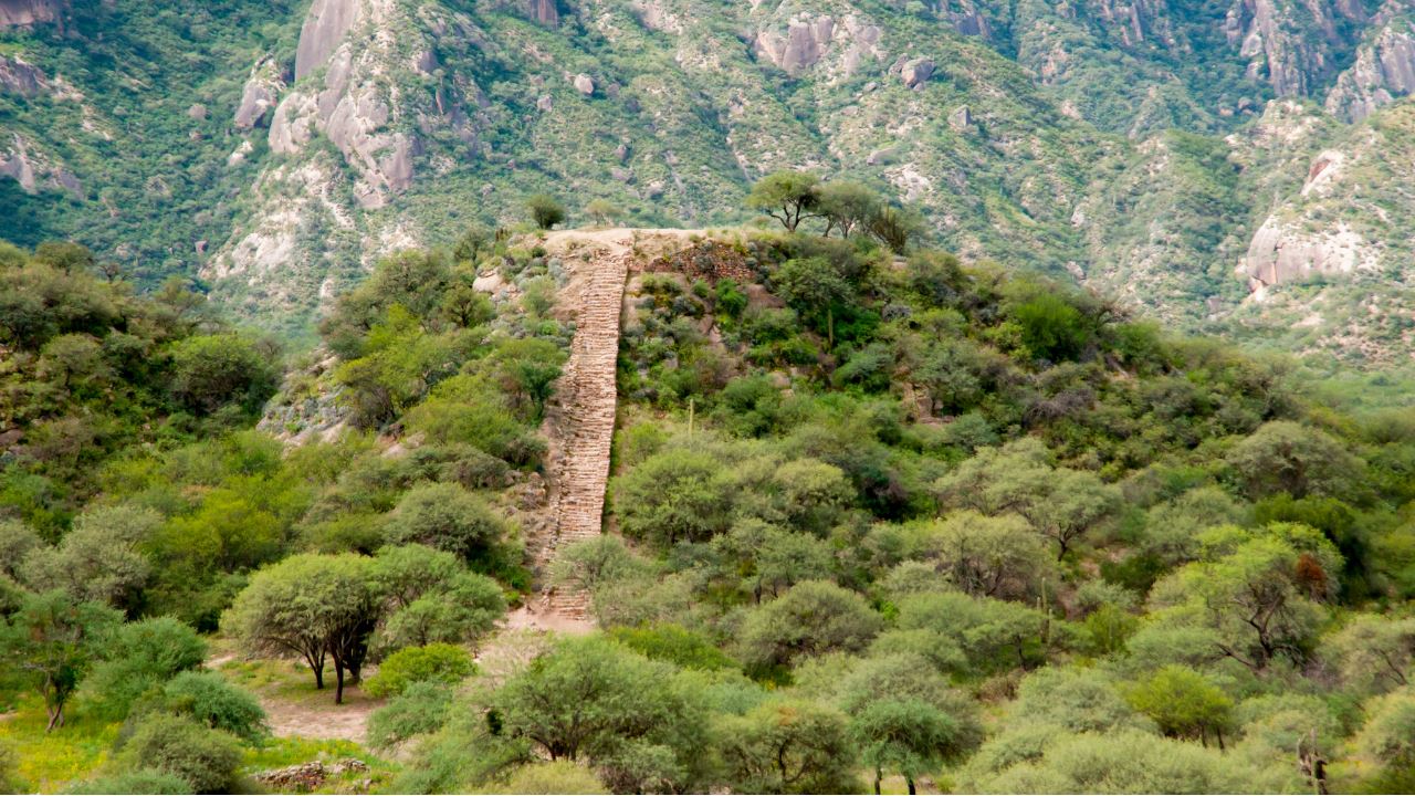 Ruines Shincales De Quimivil foto 3