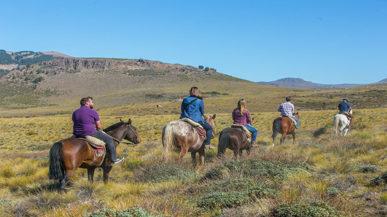 Promo: Circuito Chico, Cabalgata Y Traslados Al Aeropuerto foto 5