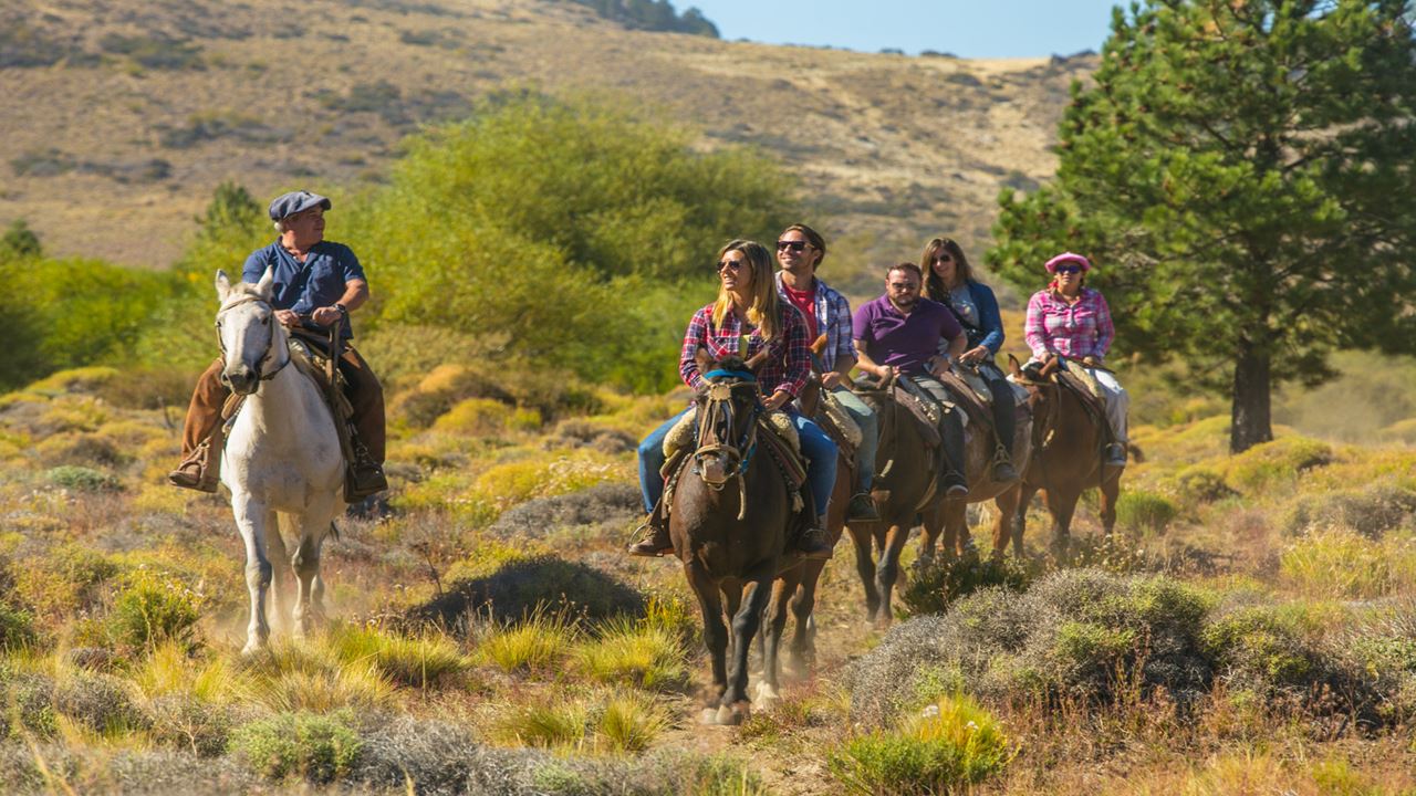 Promo: Circuito Chico, Cabalgata Y Traslados Al Aeropuerto foto 1
