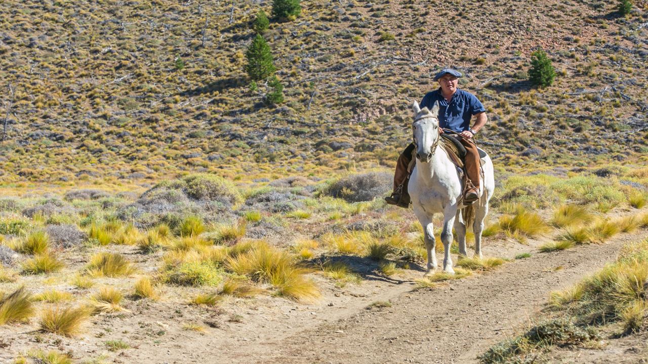Promo: Circuito Chico, Cabalgata Y Traslados Al Aeropuerto foto 3