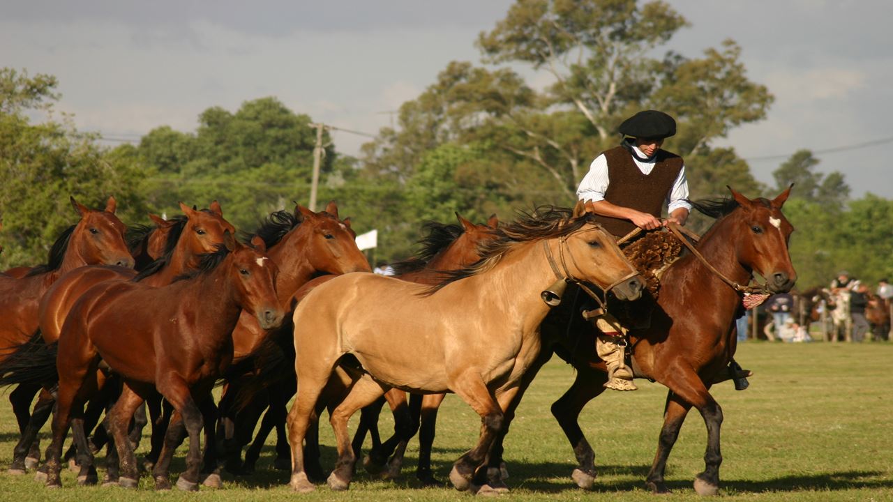 Luxury Buenos Aires Package - Tourism foto 7