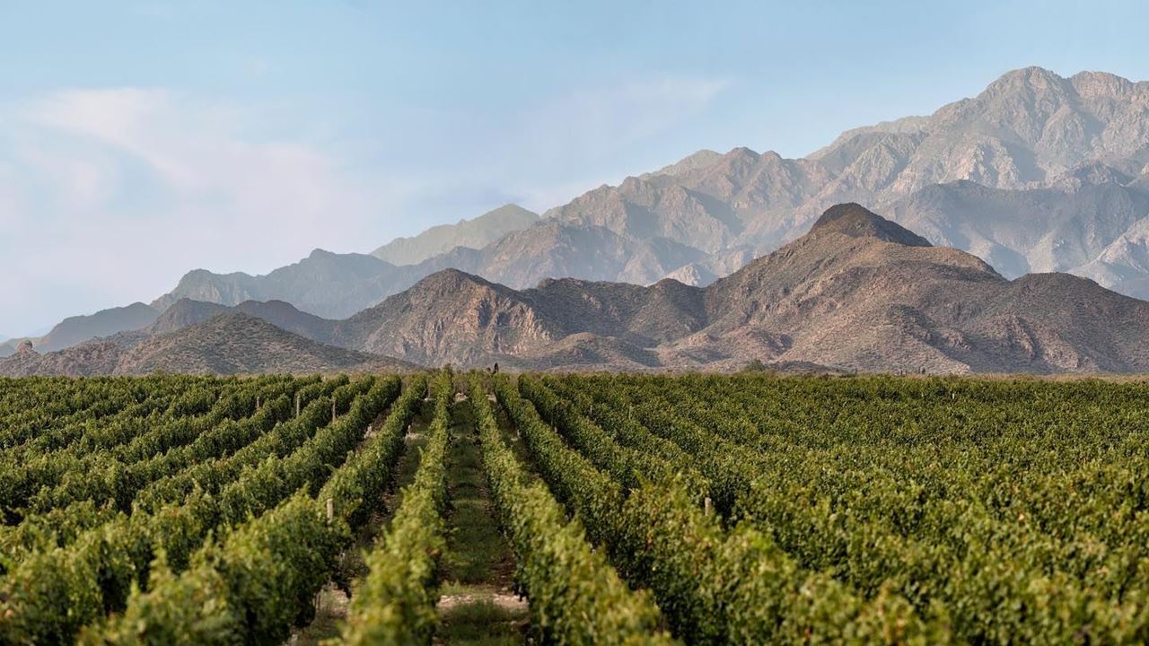 Mendoza Adventure foto 4
