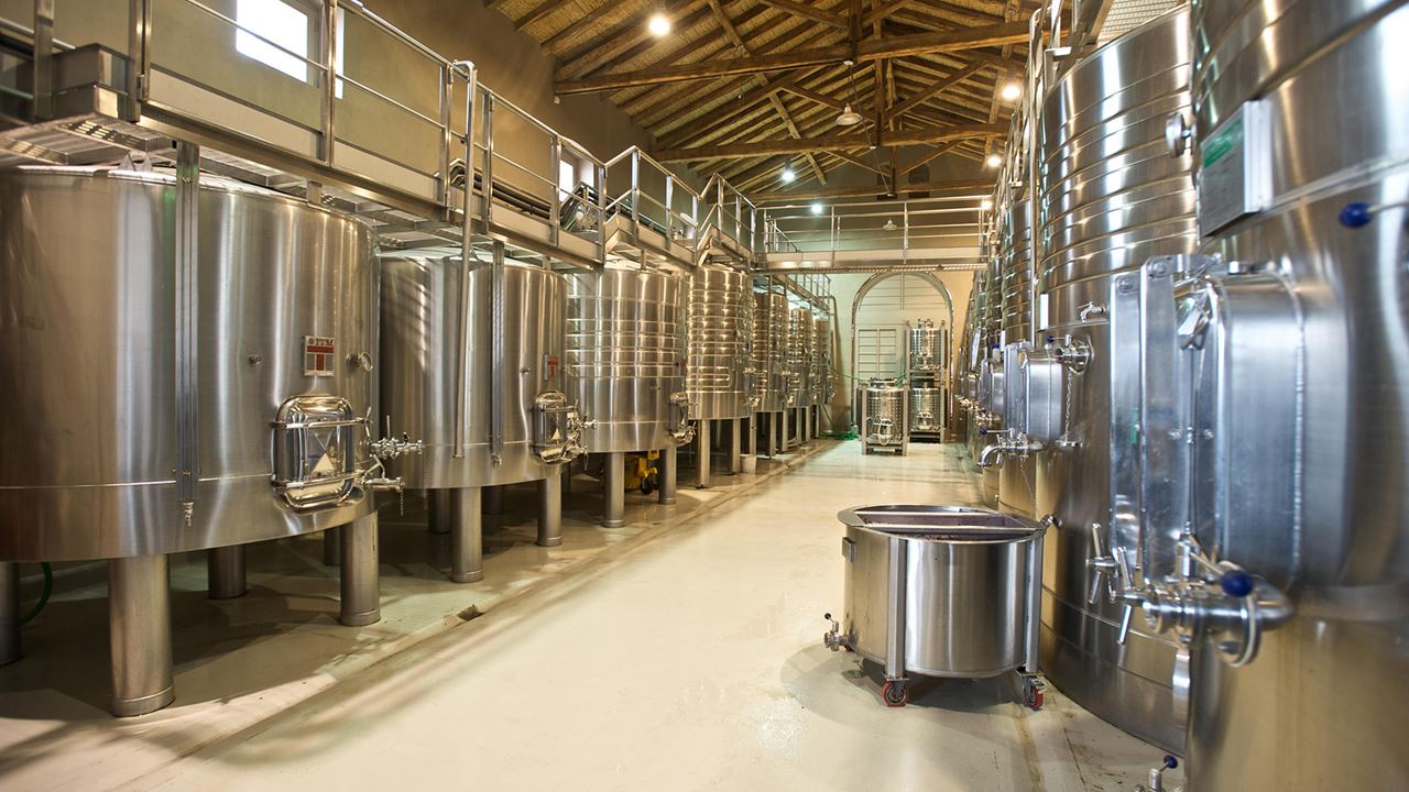 Bodega Casarena foto 9