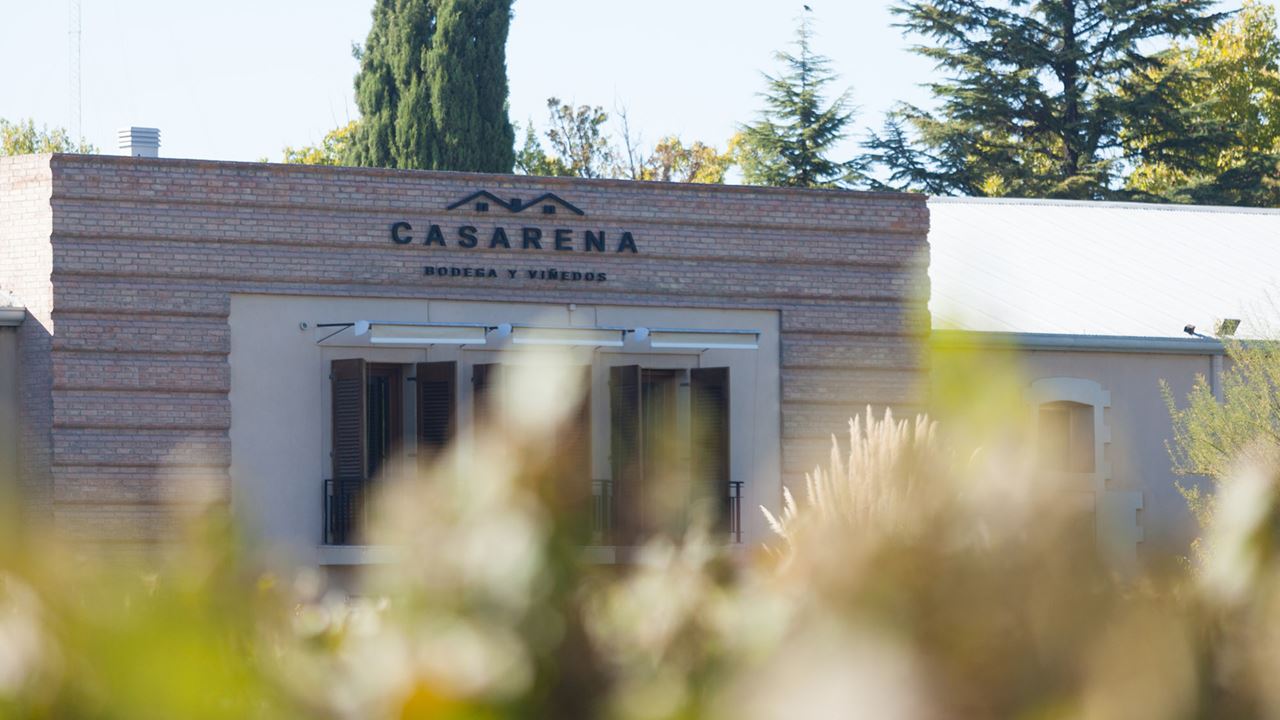 Bodega Casarena foto 4