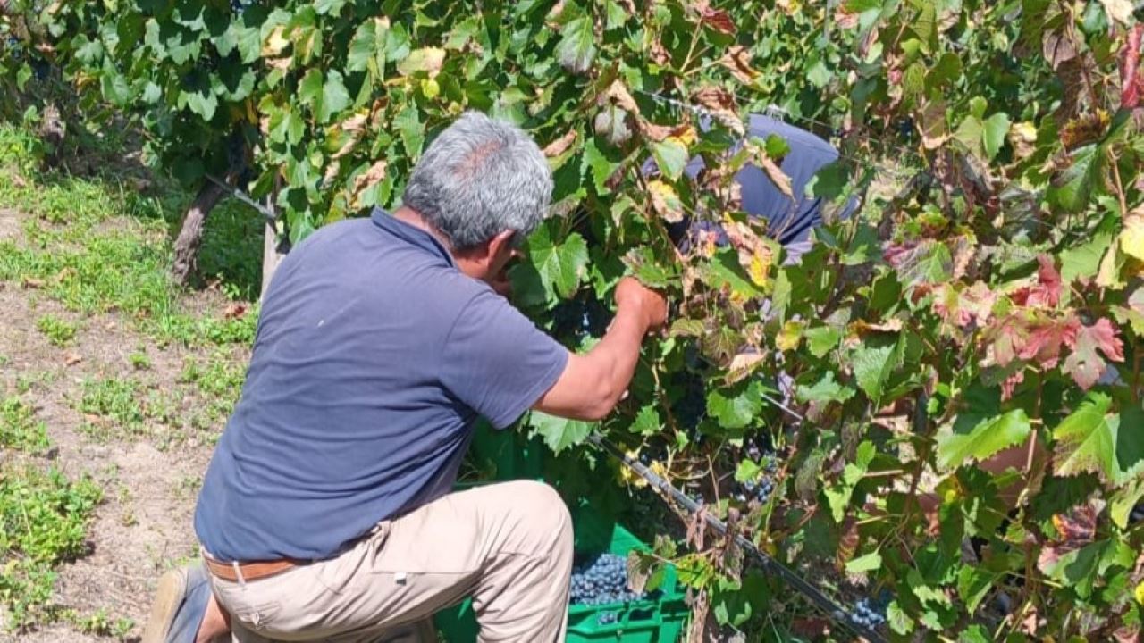 Oficina De Empanadas Com Degustação E Almoço foto 8