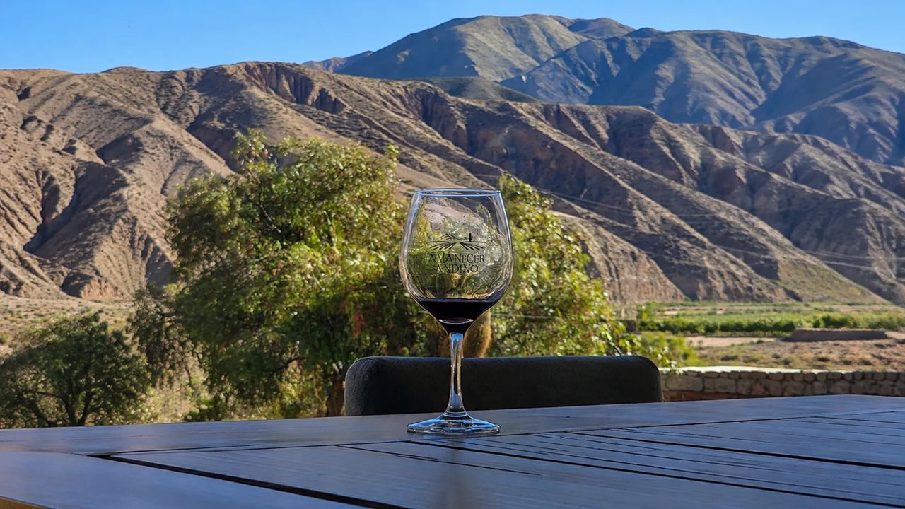 Wine Bus foto 4
