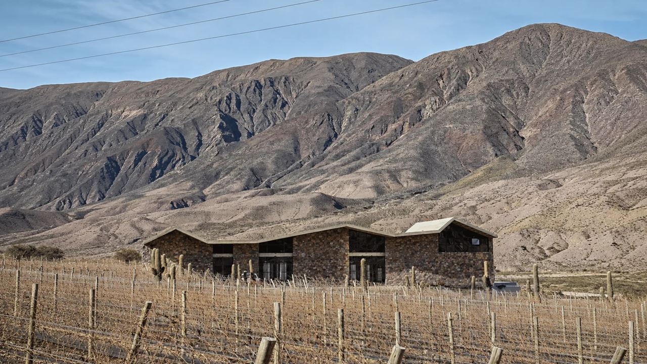 Wine Bus foto 2