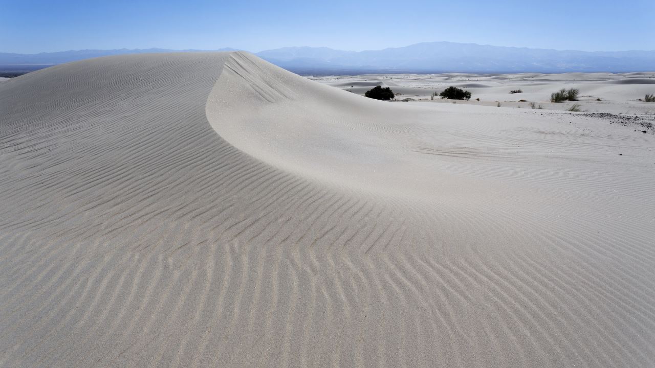 Excursão Às Dunas De Tatón E Indio Canyon foto 3