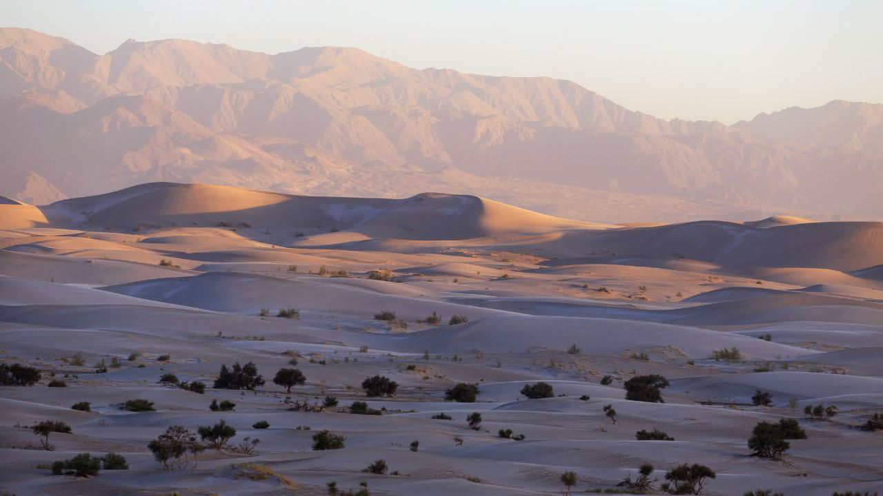 Excursão Às Dunas De Tatón E Indio Canyon foto 2