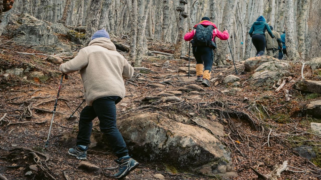 Puerto Almanza Tour With Lunch (11)