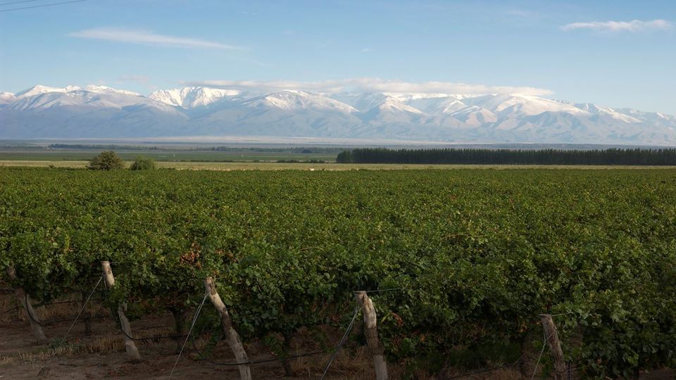 Tour Cata De Vino foto 8