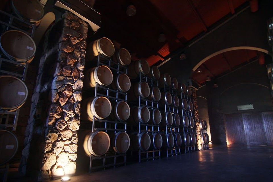 Tour Cata De Vino foto 6