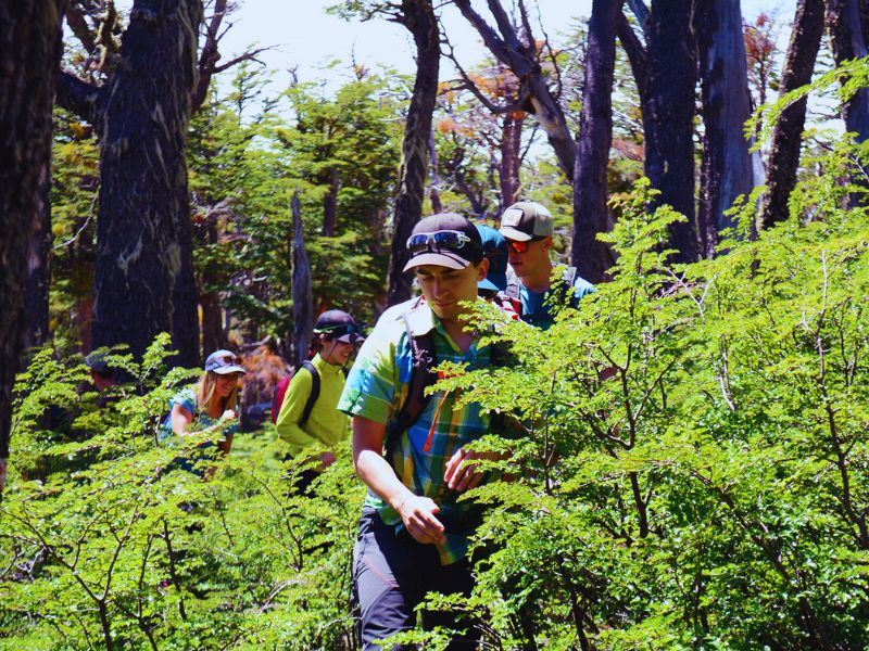 Passeio No Circuito Rio Azul foto 1