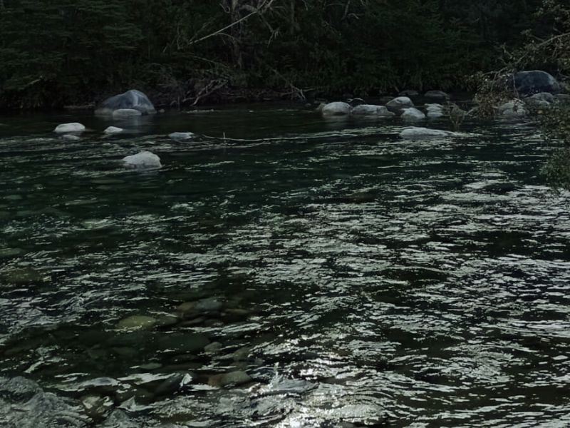 Passeio No Circuito Rio Azul foto 5