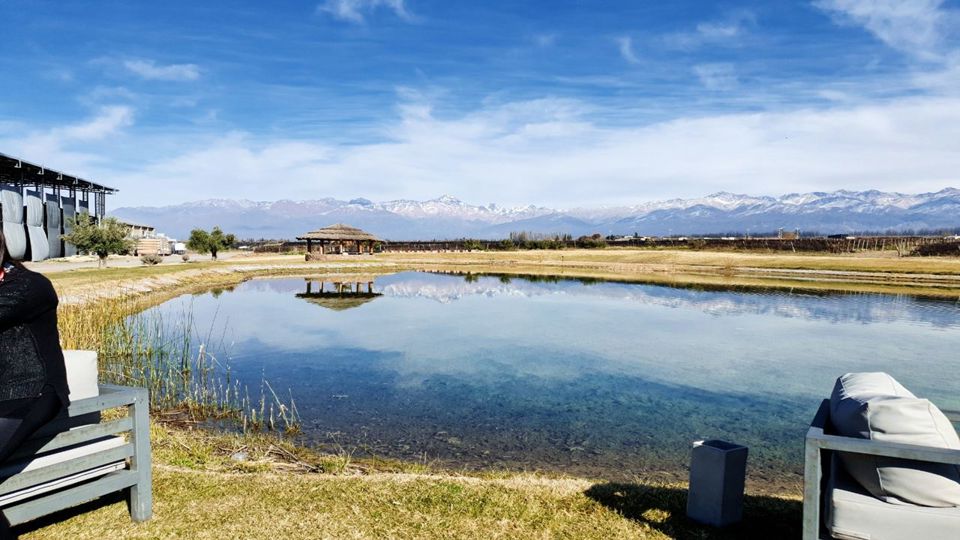 Visita Vinícolas Em Bus foto 3