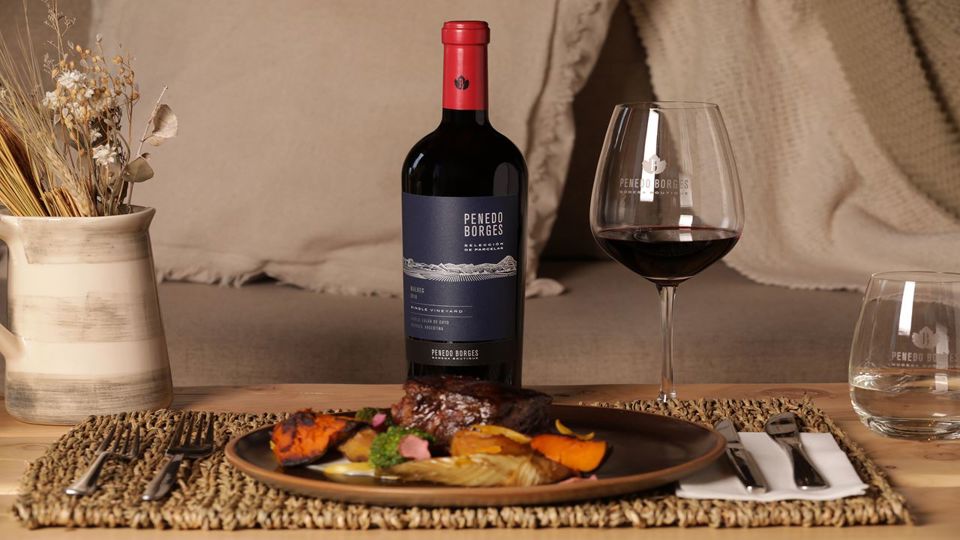 Visita Vinícolas Em Bus foto 6