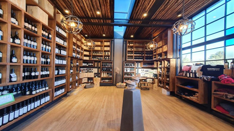 Visita Vinícolas Em Bus foto 5