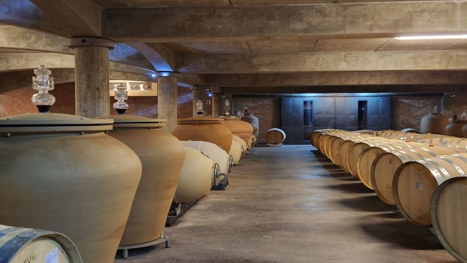 Visita Vinícolas Em Bus foto 4