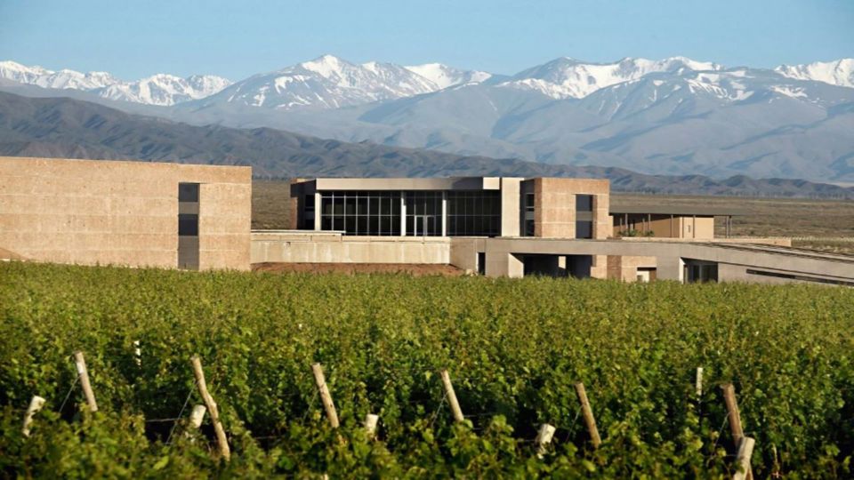 Premium Wine Tasting Tour At Bodega Diamandes foto 6