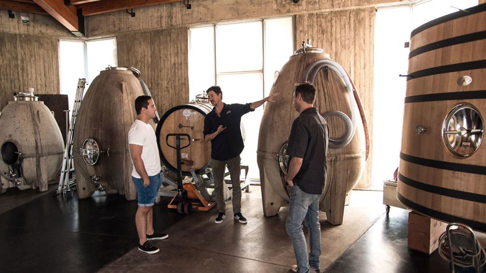 Organic And Biodynamic Wine Tour foto 4