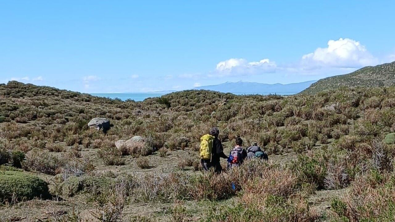 Tour Em Chalten E Navegação No Lago Viedma (1)