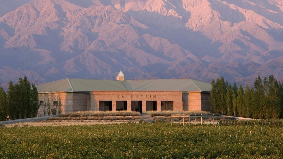 Tour Privado De Vinhos Vale De Uco foto 4