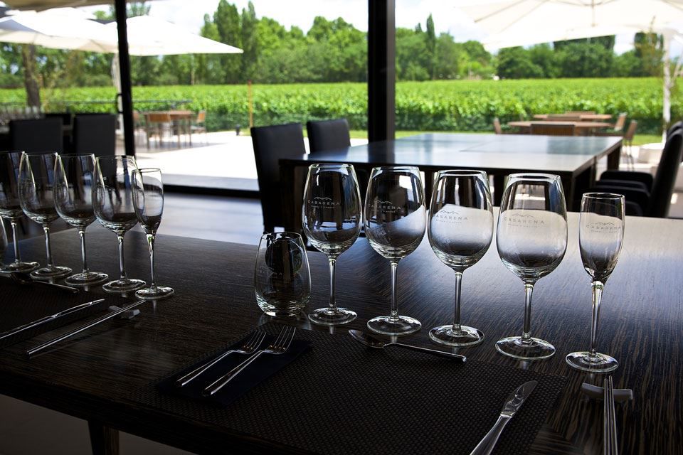 Tour Privado De Vinhos Vale De Uco foto 5