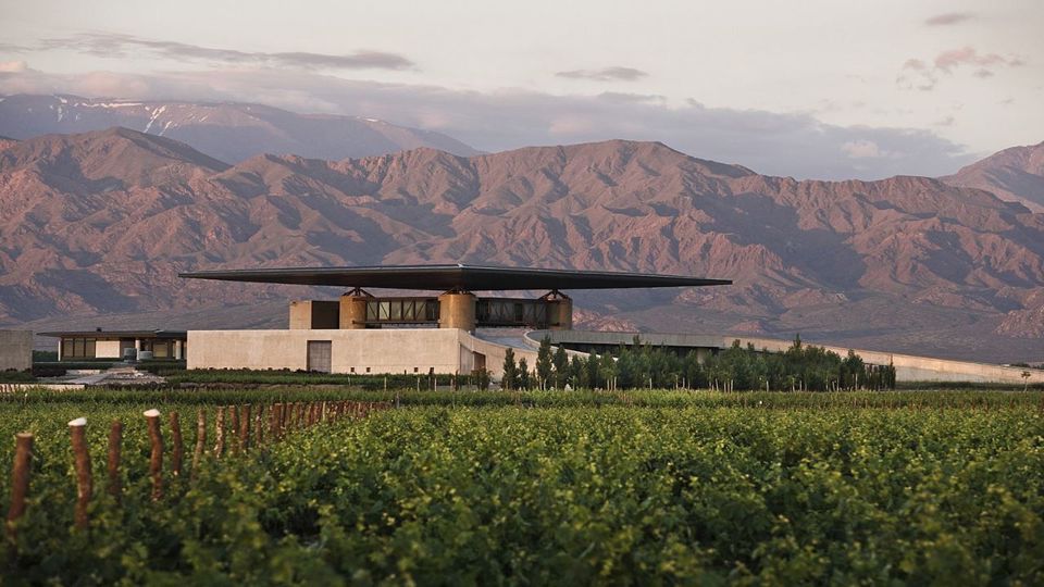 Tour Privado De Vinhos Vale De Uco foto 2