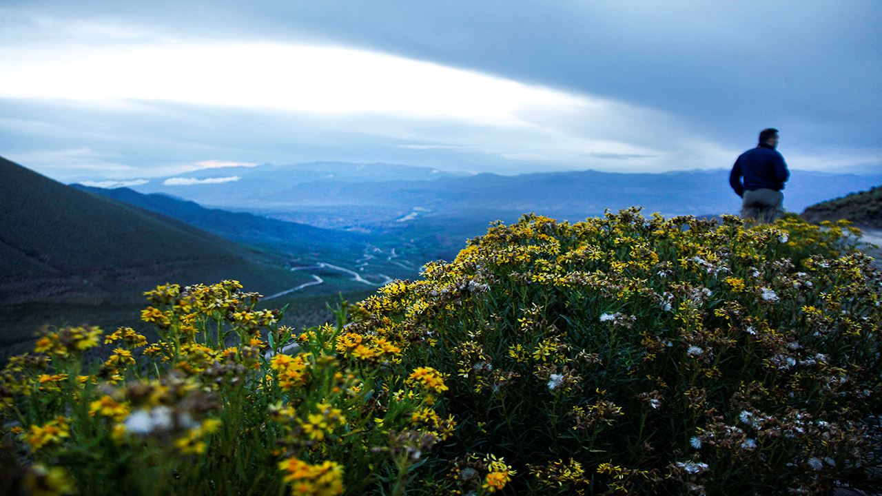 Humahuaca Quebrada Tour With El Hornocal Viewpoint foto 12