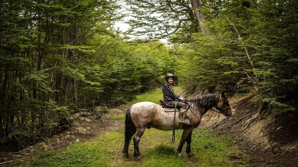 Travessia De Lagos 4x4 Com Passeio A Cavalo foto 7