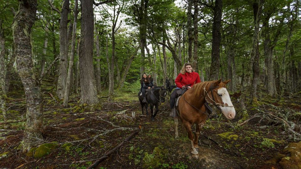 Travessia De Lagos 4x4 Com Passeio A Cavalo foto 11