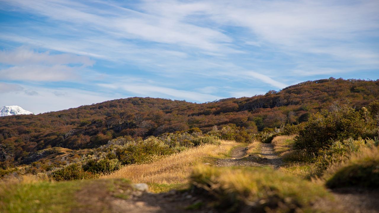 Trekking A Estancia Tunel (3)
