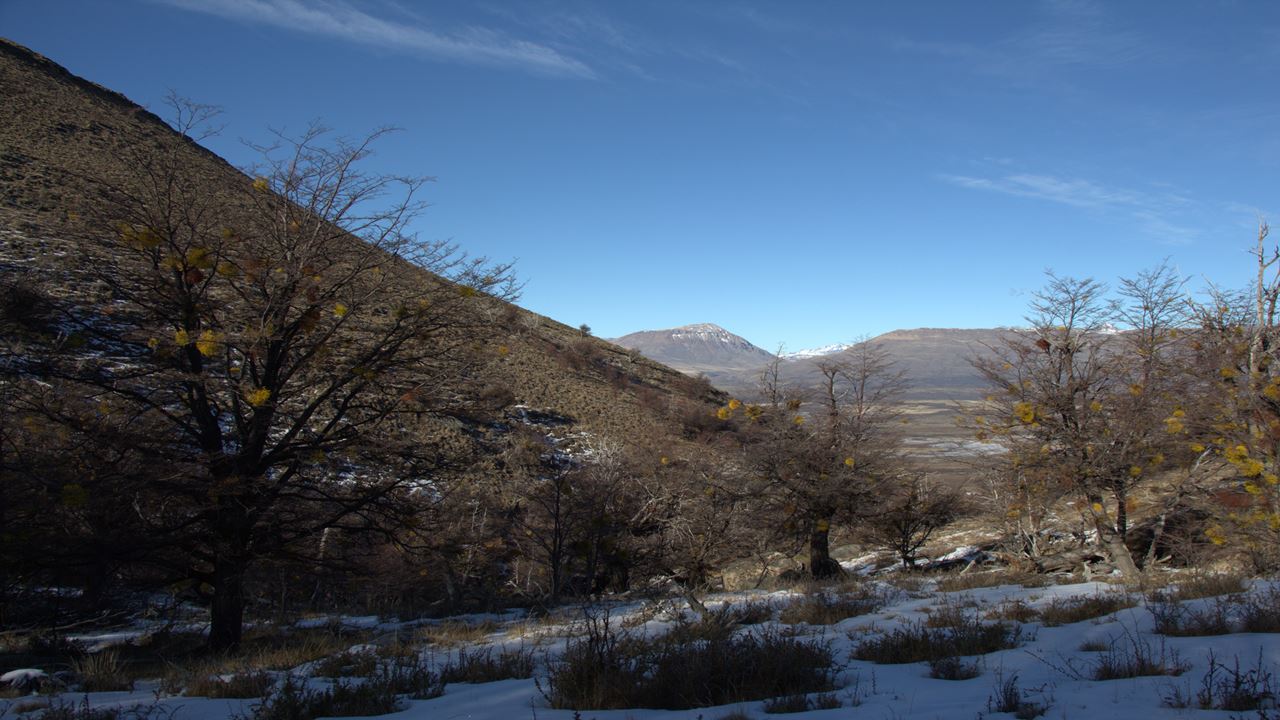 Trekking To The Top Of Cerro Frias (4)