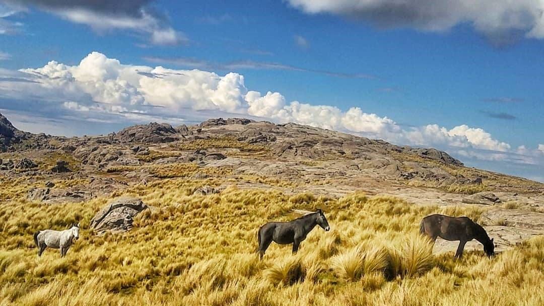 Trekking Até O Passo Garay foto 2